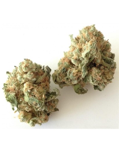 WHITE WIDOW