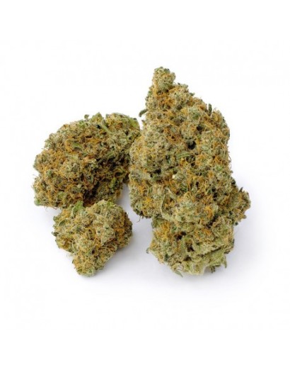 BUBBLE KUSH