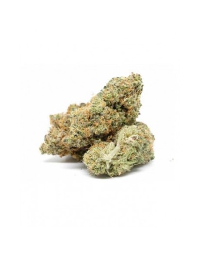 SUPREME CBD HARLEQUIN